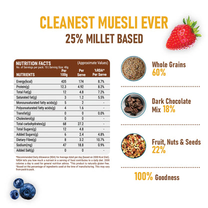 Pintola Choco Berry Crunch Muesli